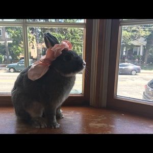 Meet your Posher, Marbella